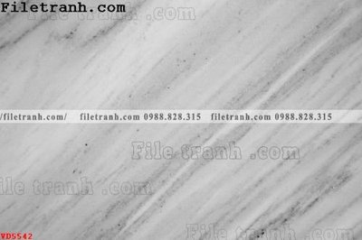 File in trần File vân đá đá cẩm thạch VD5542 (bản gốc) hoa văn