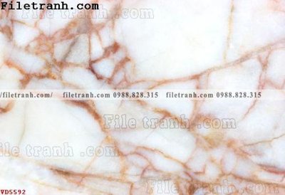 Mua file gốc File vân đá đá cẩm thạch VD5592 (chất lượng) tại Filetranh.com