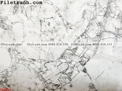 Chi tiết file tranh tráng gương File vân đá đá cẩm thạch VD5667 (ảnh gốc)