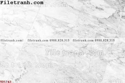 File in trần File vân đá đá cẩm thạch VD5743 (bản gốc) 5D
