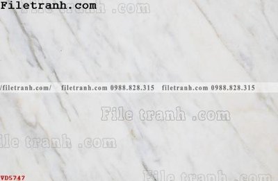 File in lụa File vân đá đá cẩm thạch VD5747 (tân cổ điển) File vân đá đá cẩm thạch VD5747