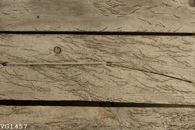File tranh File in vân gỗ VG1457 (ảnh gốc) độc quyền