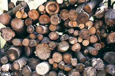 File gốc in tráng gương File in vân gỗ VG1507 chi tiết