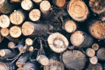 File tranh in trần 3D File in vân gỗ VG1508 (ảnh gốc)