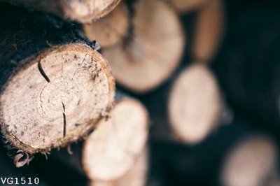 File gốc in tráng gương File in vân gỗ VG1510 chi tiết