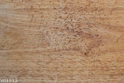 File gốc File in vân gỗ VG1512 (ảnh chi tiết) để in ấn