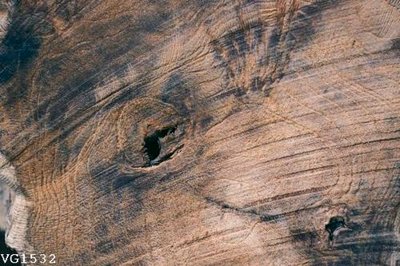 File PSD File in vân gỗ VG1532 (gốc) nhiều lớp (multi-layer)