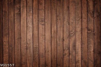 Chi tiết file tranh tráng gương File in vân gỗ VG1557 (ảnh gốc)