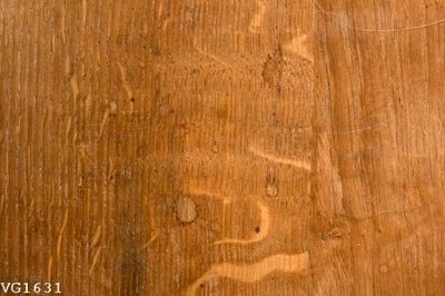 Tải file File in vân gỗ VG1631 (gốc) chủ đề phong thủy