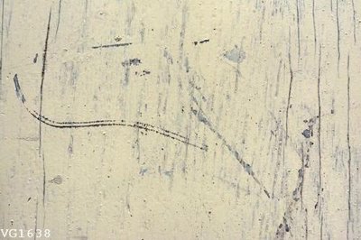 File tranh trang trí File in vân gỗ VG1638 (file gốc)