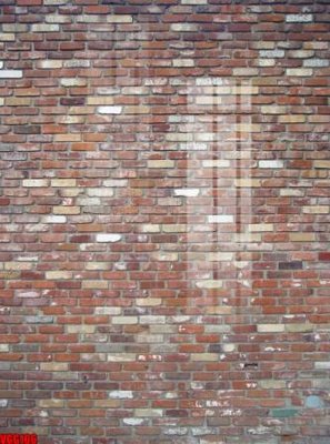 Chi tiết file gốc file in vân gạch , file tranh tường gạch VGG106 (cho in tráng gương)