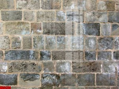 Tải file file in vân gạch , file tranh tường gạch VGG1724 (gốc) chủ đề hoa sen