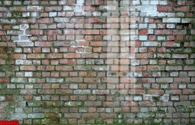 Tải file file in vân gạch , file tranh tường gạch VGG1863 (gốc) để in ấn ngay