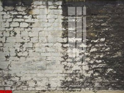 Tải file file in vân gạch , file tranh tường gạch VGG1924 (gốc) làm file tranh quảng cáo