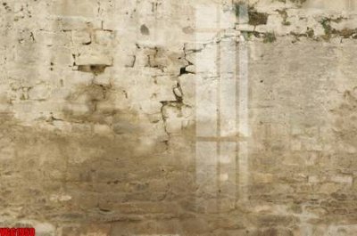 Download file gốc file in vân gạch , file tranh tường gạch VGG1950 (in lụa) hoa lá