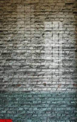 File tranh file in vân gạch , file tranh tường gạch VGG1960 (gốc) chủ đề thiên nhiên