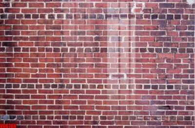 Tải file file in vân gạch , file tranh tường gạch VGG708 (gốc) chủ đề hoa sen