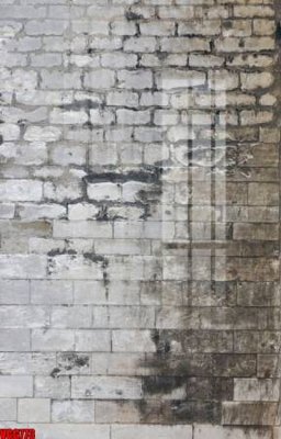 File gốc file in vân gạch , file tranh tường gạch VGG773 (Filetranh.com) file in vân gạch , file tranh tường gạch VGG773