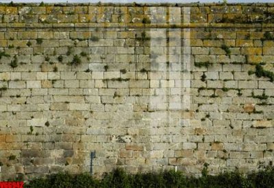 File gốc file in vân gạch , file tranh tường gạch VGG942 (in tráng gương) nghệ thuật