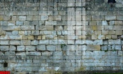 Ảnh gốc file in vân gạch , file tranh tường gạch VGG971 (độ nét cao) in tráng gương