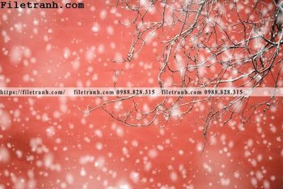 Tải file Zhang Tu Cam Thanh Trung Quoc Do 134 (gốc) để in ấn ngay