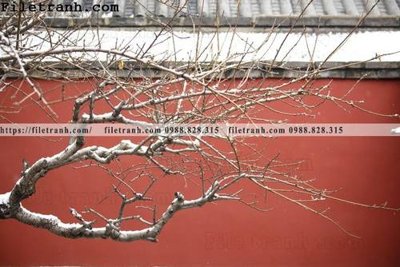 Download file Zhang Tu Cam Thanh Trung Quoc Do 138 (gốc) in mica bàn thờ