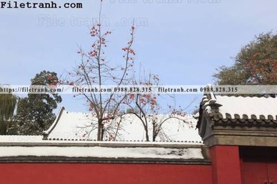 File gốc Zhang Tu Cam Thanh Trung Quoc Do 148 (dành cho trang trí nội thất)