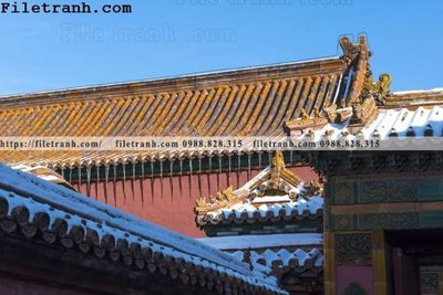 Download file gốc Zhang Tu Cam Thanh Trung Quoc Do 154 (in lụa) cao cấp