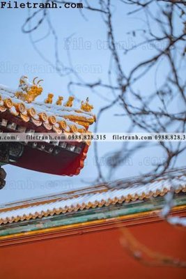 File PSD Zhang Tu Cam Thanh Trung Quoc Do 158 (nguyên gốc) chất lượng cao