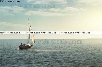 Ảnh gốc anh chup thuan buom xuoi gio 100 (siêu chi tiết) để in ấn