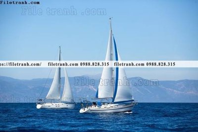 File tranh anh chup thuan buom xuoi gio 104 (gốc) chủ đề con người