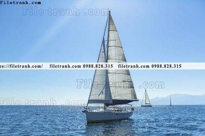 File in mica anh chup thuan buom xuoi gio 110 (bản gốc) siêu trong