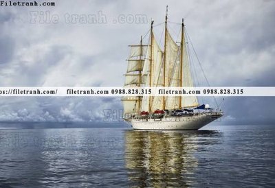 Tải file anh chup thuan buom xuoi gio 128 (gốc) chủ đề hoa sen