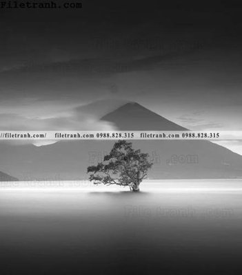 File tranh in tráng gương anh phong canh dung 163 (siêu nét)