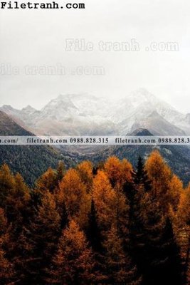 Ảnh mô tả file gốc in mica anh phong canh dung 168