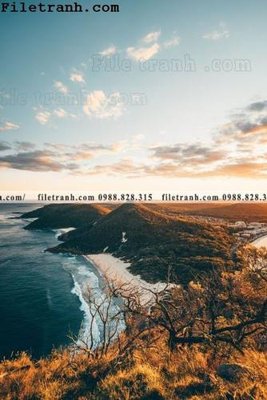 File gốc anh phong canh dung 178 (trang trí) phòng làm việc