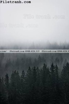 File in lụa anh phong canh dung 187 (chất lượng cao) anh phong canh dung 187