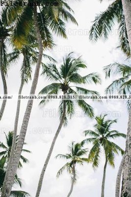 File ảnh anh phong canh dung 201 (gốc) in decal dán tường