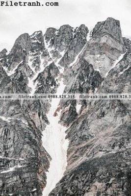 File in ấn anh phong canh dung 218 (bản gốc) sắc nét