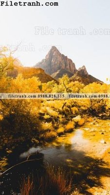 Tải file gốc anh phong canh dung 232 (để in lụa)