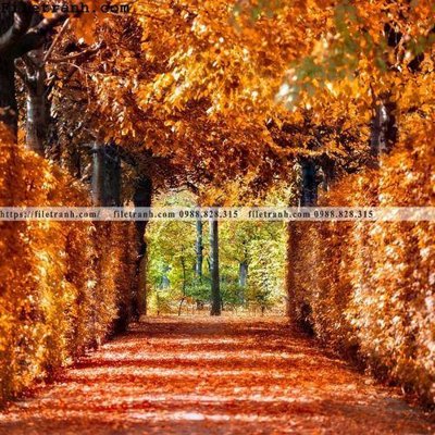 Tệp tin gốc anh phong canh dung 248 (dùng cho in ấn) chuyên nghiệp