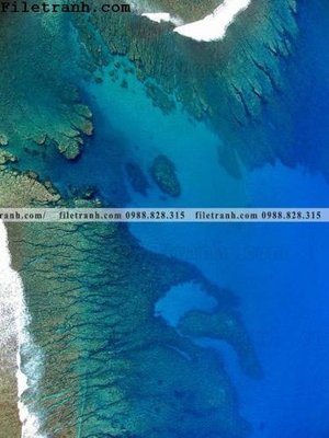 File tranh gốc anh sang sang trong truu tuong quan niem nghe thuat 113 (sắc nét từng chi tiết)