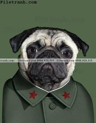 File in trần anh ve cac ngoi sao thu cung duoc ca nhan hoa 101 (bản gốc 3D) sống động