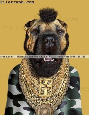 Tải về file tranh gốc anh ve cac ngoi sao thu cung duoc ca nhan hoa 118 (để in quảng cáo)