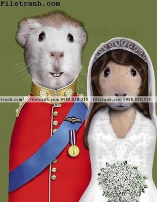 Tải file anh ve cac ngoi sao thu cung duoc ca nhan hoa 127 (gốc) in trên mọi chất liệu