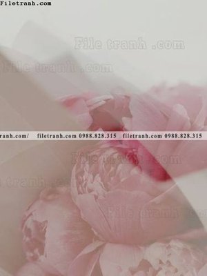 Chi tiết file ảnh bac au moi mau hong 516 sắc nét