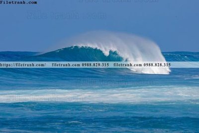 File gốc bai bien dai duong 207 (cho in ấn) độc quyền