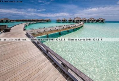 File ảnh bai bien dai duong 214 (gốc) in Hiflex