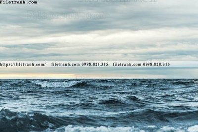 File in trần bai bien dai duong 254 (bản gốc) hoa văn