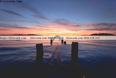 File gốc bai bien dai duong 269 (phiên bản chuẩn) để in ấn